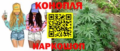 соль ск Краснодар