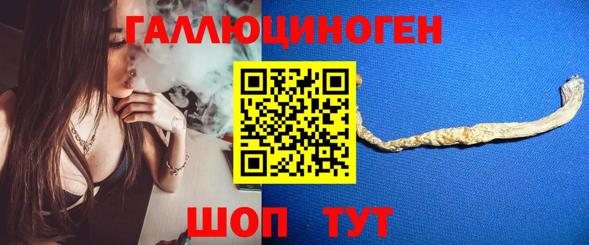 Галлюциногенные грибы GOLDEN TEACHER  Малоярославец  Псилоцибиновые грибы MAGIC MUSHROOMS 