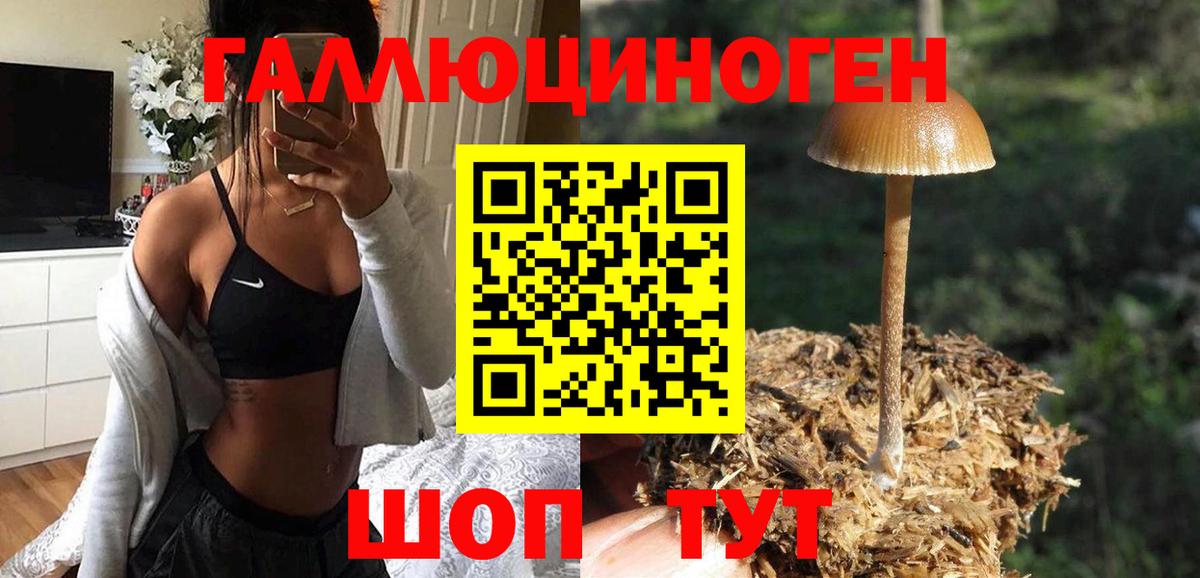 Псилоцибиновые грибы мицелий Малоярославец