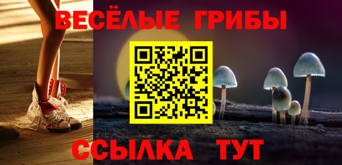 Галлюциногенные грибы прущие грибы  Вход с VPN  купить наркотики сайты  Малоярославец 